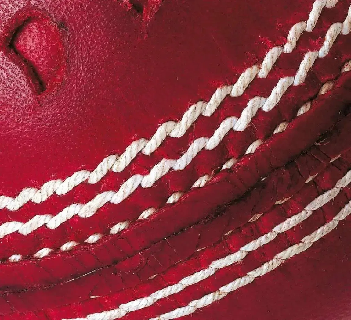 GM Chevron Cricket Ball