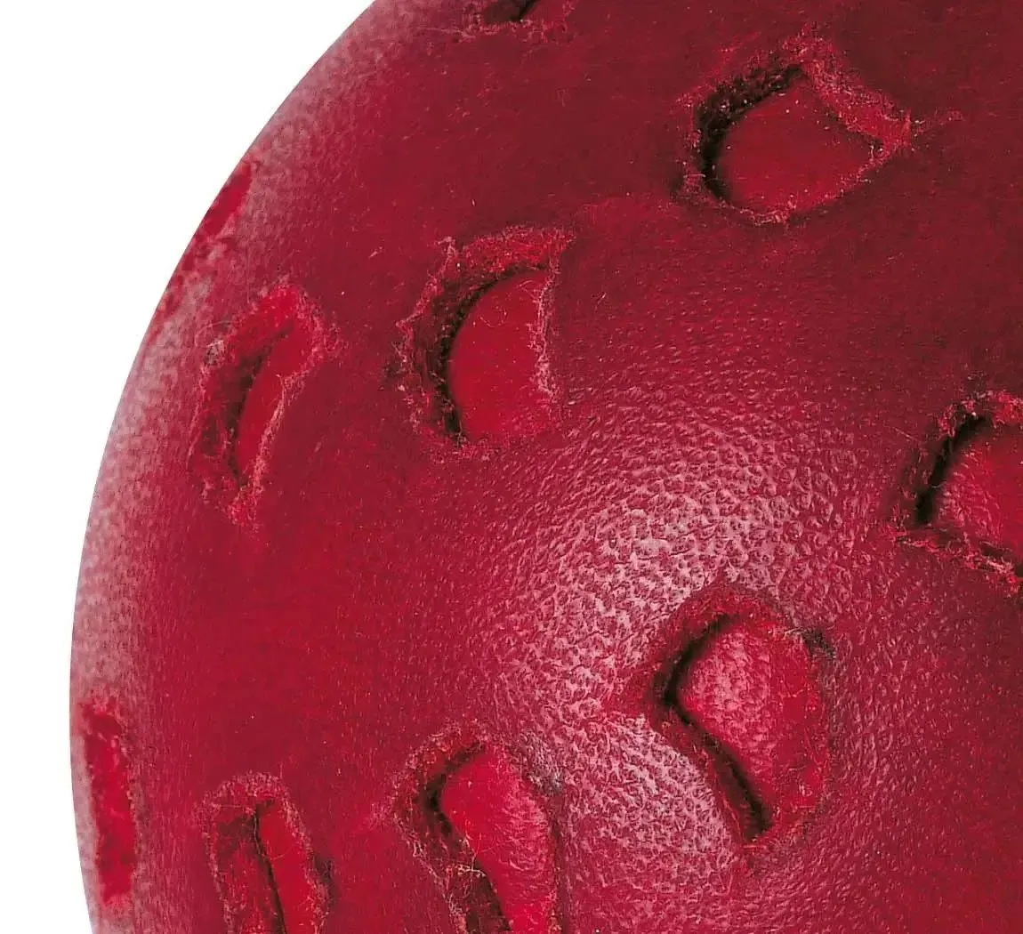 GM Chevron Cricket Ball