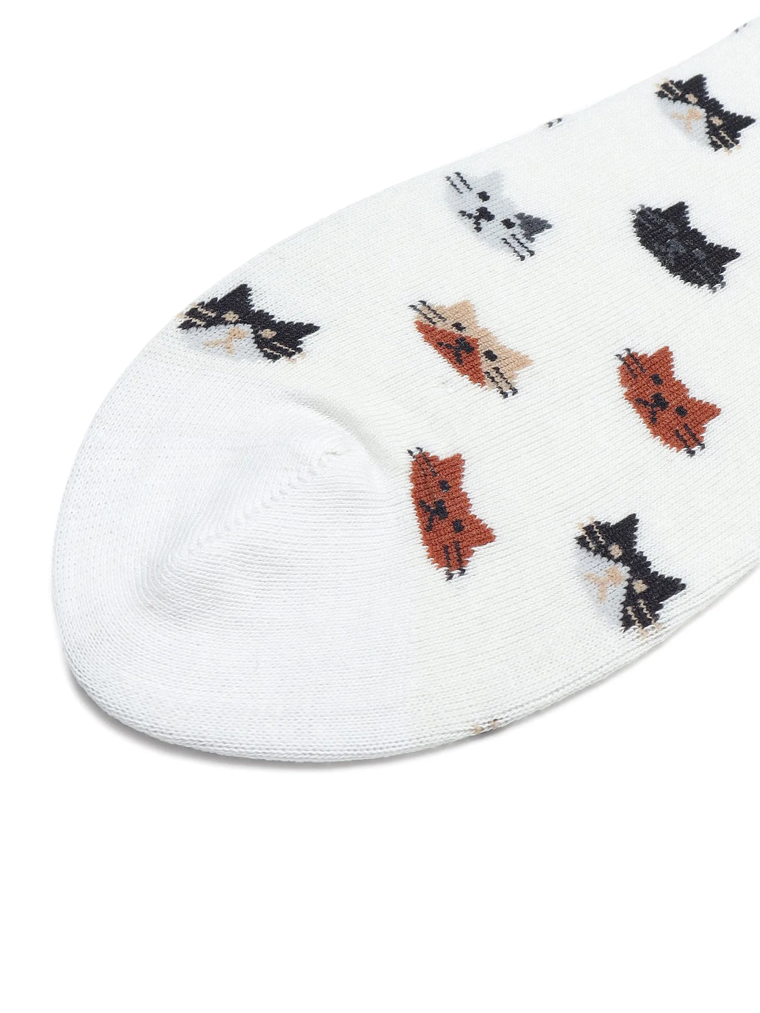 Purrfect | CreamAnkle Socks for Men and Women